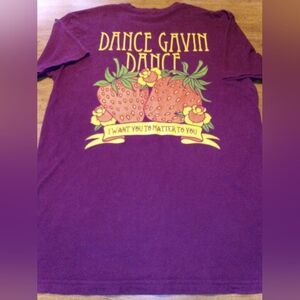 Dance Gavin Dance I Want You To Matter To You Size Med/LG Maroon T-Shirt